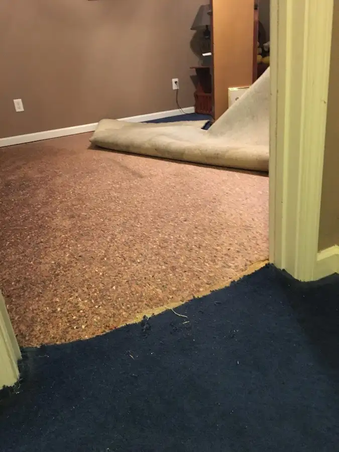 Carpet pad removal revealing water damage during Water Mitigation Services in Blackstone