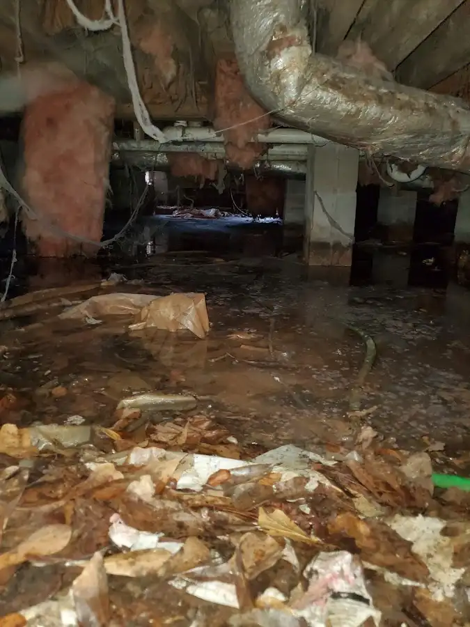 Crawl space flood assessment for Leak Detection & Repair in Blackstone