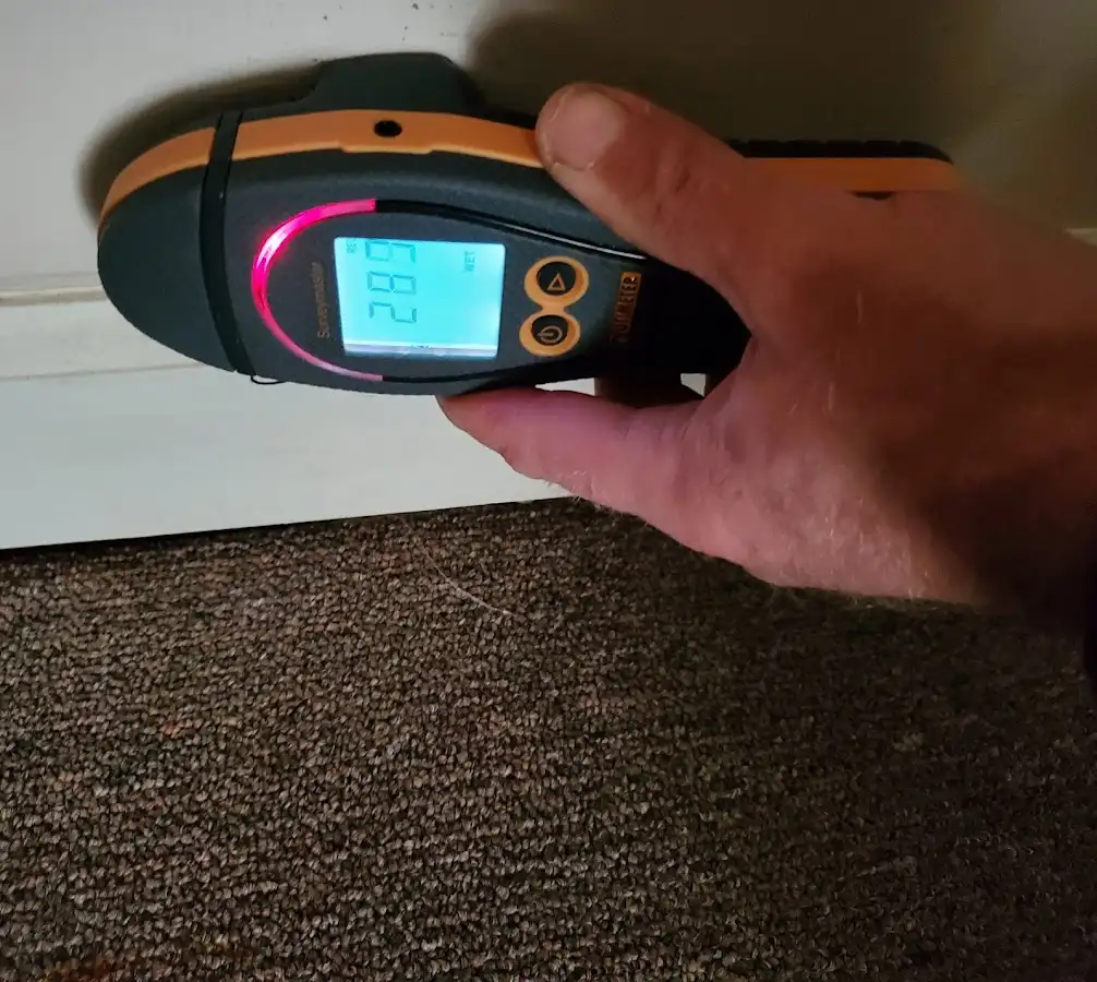 Moisture detection at baseboard during Sewage Cleanup & Sanitation in Blackstone